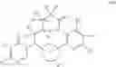 Fig. 22 - MACROCYCLES WITH HETROCYCLIC P2' GROUPS AS FACTOR XIA INHIBITORS