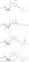 Fig. 118 - A3 adenosine receptor agonists