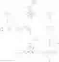Fig. 08 - CYCLOPROPYL MODULATORS OF P2Y12 RECEPTOR