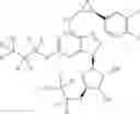 Fig. 60 - CYCLOPROPYL MODULATORS OF P2Y12 RECEPTOR
