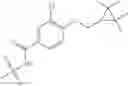 Fig. 150 - N-SUBSTITUTED BENZAMIDES AND METHODS OF USE THEREOF