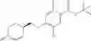 Fig. 887 - N-SUBSTITUTED BENZAMIDES AND METHODS OF USE THEREOF