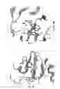 Fig. 02 - Benzoxazepin oxazolidinone compounds and methods of use