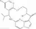 Fig. 131 - Diaryl macrocycles as modulators of protein kinases