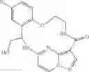 Fig. 166 - Diaryl macrocycles as modulators of protein kinases