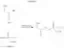 Fig. 41 - Acyclic nucleoside phosphonate diesters