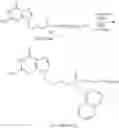 Fig. 60 - Acyclic nucleoside phosphonate diesters
