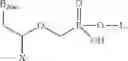 Fig. 77 - Acyclic nucleoside phosphonate diesters
