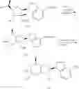 Fig. 72 - CYCLIC NUCLEOTIDE ANALOGS