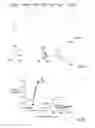 Fig. 03 - Cold- and menthol-sensitive receptor (CMR1)