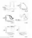 Fig. 05 - Cold- and menthol-sensitive receptor (CMR1)