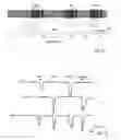 Fig. 08 - Cold- and menthol-sensitive receptor (CMR1)