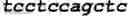 Fig. 04 - Eukaryotic cells and methods for recombinantly expressing a product of interest