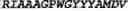 Fig. 45 - Human IL-23 antigen binding proteins