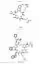 Fig. 28 - TARGETING AGENT ANTIBODY CONJUGATES AND USES THEREOF