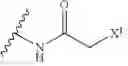 Fig. 53 - TARGETING AGENT ANTIBODY CONJUGATES AND USES THEREOF