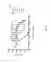 Fig. 06 - ST2 antigen binding proteins