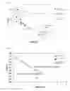 Fig. 02 - PROCESS FOR PRODUCING ETHYLENE/UNSATURATED CARBOXYLIC ACID COPOLYMER, AND SAID COPOLYMER
