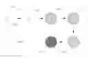Fig. 02 - Polymer substrates formed from carboxy functional acrylamide
