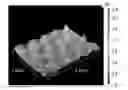 Fig. 01 - Modified elastomer surface