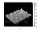 Fig. 02 - Modified elastomer surface