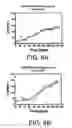 Fig. 09 - Articles Formed with Biodegradable Materials and Strength Characteristics of Same