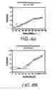 Fig. 09 - Articles Formed with Biodegradable Materials