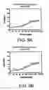 Fig. 10 - Articles Formed with Biodegradable Materials
