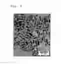 Fig. 04 - Tellurium compound nanoparticles, composite nanoparticles, and production methods therefor