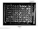 Fig. 09 - Isolation of microniches from solid-phase and solid suspension in liquid phase microbiomes using laser induced forward transfer