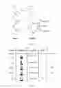 Fig. 06 - cGAP-PNA MULTIVALENT PEPTIDE NUCLEIC ACID LIGAND DISPLAY