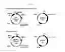 Fig. 09 - Recombinant vector for foreign gene expression without biological circuit interference of host cell and uses thereof