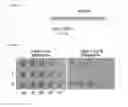 Fig. 02 - Microorganisms having putrescine productivity and process for producing putrescine using the same