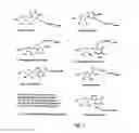 Fig. 02 - Labelled nucleotides
