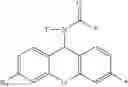 Fig. 09 - Labelled nucleotides