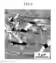 Fig. 09 - FERRITIC LIGHTWEIGHT STEEL SHEET HAVING EXCELLENT STRENGTH AND DUCTILITY AND METHOD FOR MANUFACTURING THE SAME