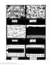 Fig. 02 - Coating material