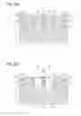 Fig. 16 - Photosynthesis apparatus