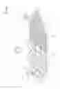 Fig. 40 - Photosynthesis apparatus