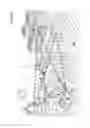 Fig. 43 - Photosynthesis apparatus