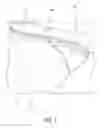 Fig. 02 - Molding System For Swimming Pool Copings