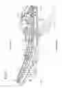 Fig. 02 - Opening/closing device for opening/closing body