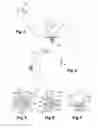 Fig. 03 - Device for retaining drained fluids for a propulsive assembly