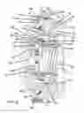 Fig. 03 - Strain wave gear system