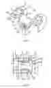 Fig. 06 - Combination oil ring