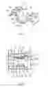 Fig. 07 - Combination oil ring