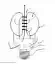 Fig. 01 - LED bulb