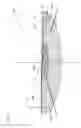 Fig. 04 - Vehicle lamp