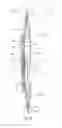Fig. 06 - Compound bow