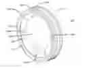 Fig. 01 - Water resistant smart gauge